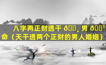 八字两正财透干 🕸 男 🌹 命（天干透两个正财的男人婚姻）